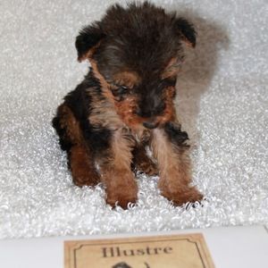 Meet your Posher, Renee